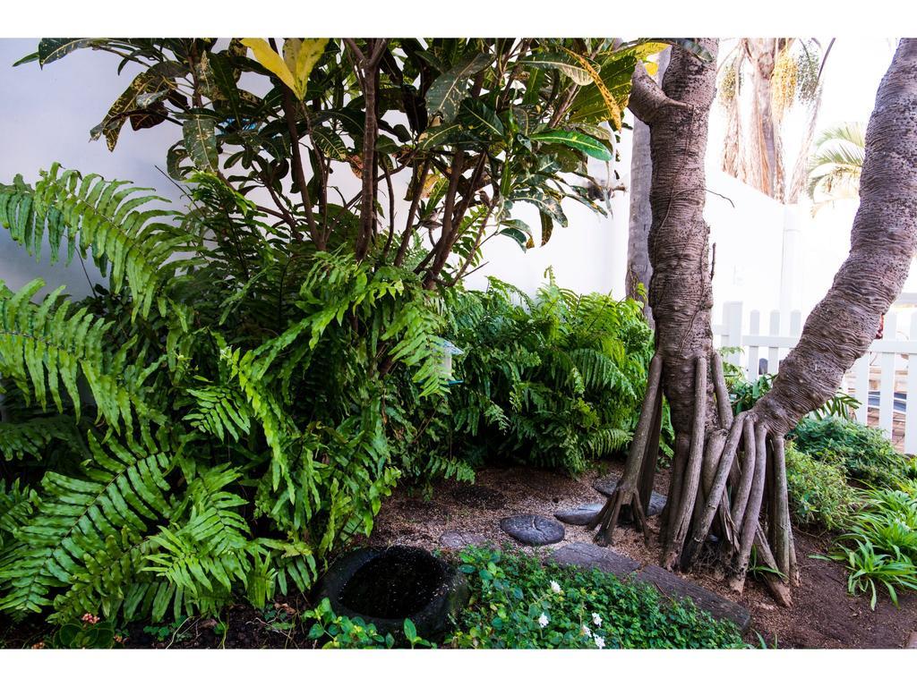 Flamingo Rocks Bed & Breakfast Durban Ngoại thất bức ảnh